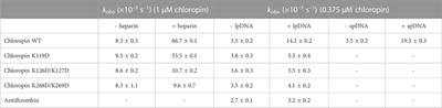 DNA accelerates the protease inhibition of a bacterial serpin chloropin